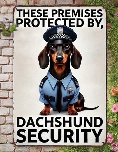 Protected daschund security - by,